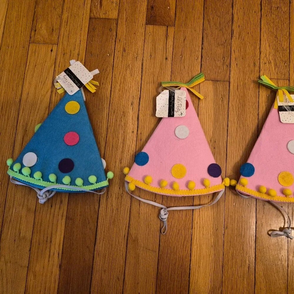 3 NEW Felt Kids Party Hats